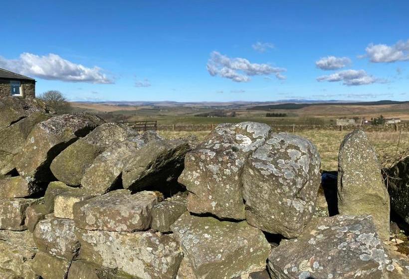 旅馆 The Gun At Ridsdale