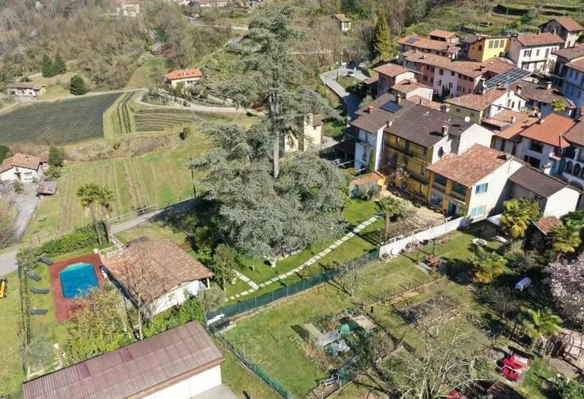 B&b Romantico Palazzo Dei Ulivi