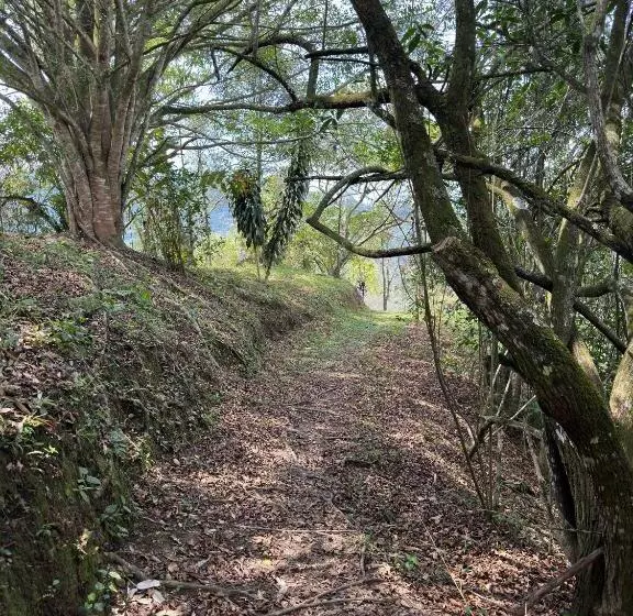 Majatalo Finca Jaragual