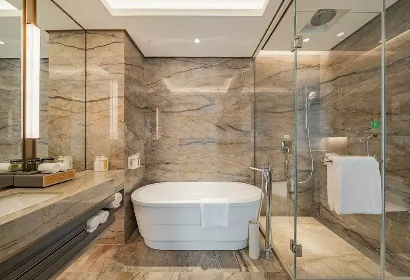 Hotel Holiday Inn Zhengzhou Zhongzhou, An Ihg