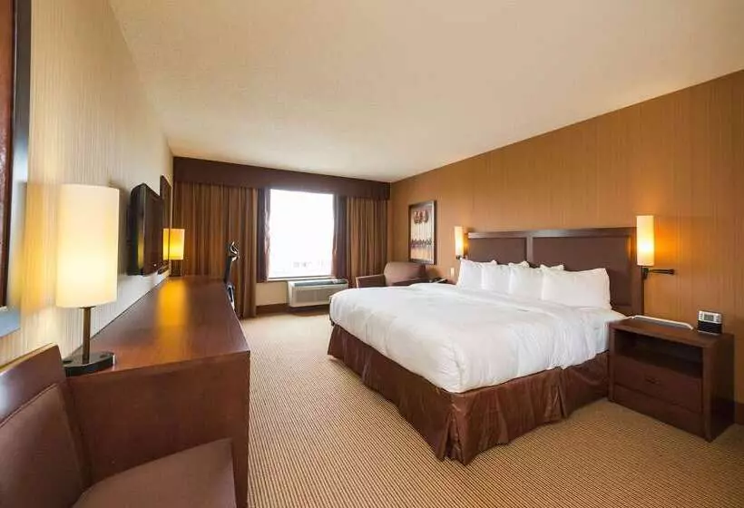 酒店 Quality Inn & Suites