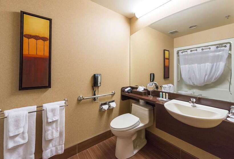 ホテル Quality Inn & Suites