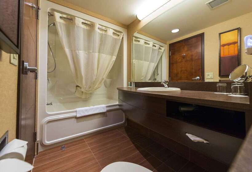 ホテル Quality Inn & Suites