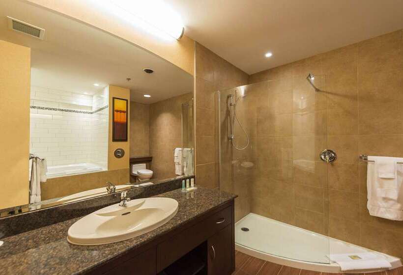 ホテル Quality Inn & Suites