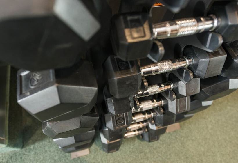 ホテル Quality Inn & Suites