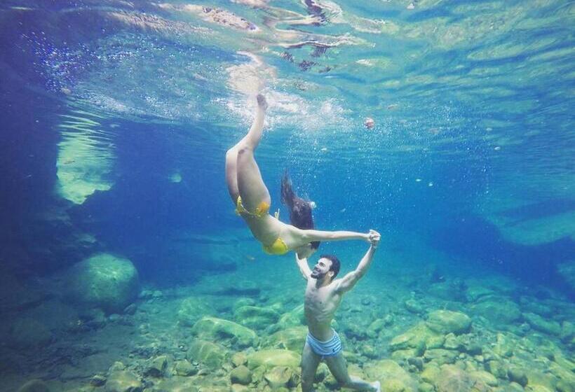 Пансион Pousada Universal