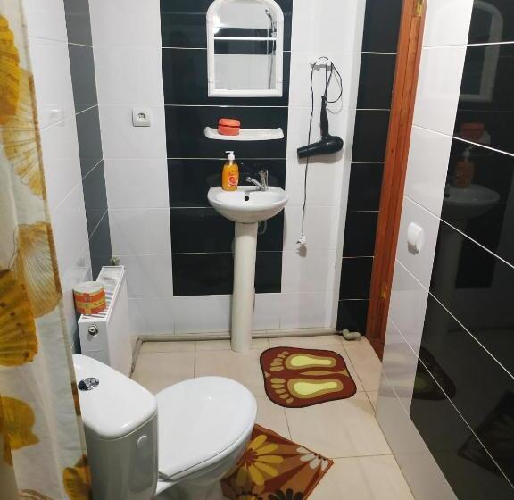 پانسیون V Ulyanu