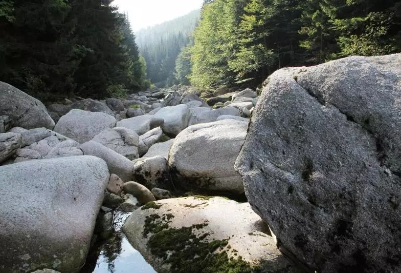 ペンション Chata   Sport   Ski