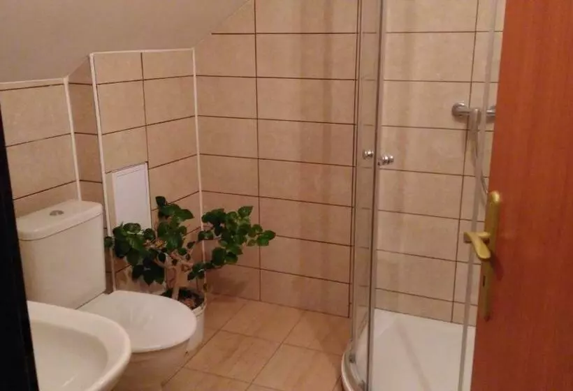 ペンション Penzion Střela Krucemburk