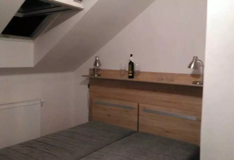 ペンション Penzion Střela Krucemburk