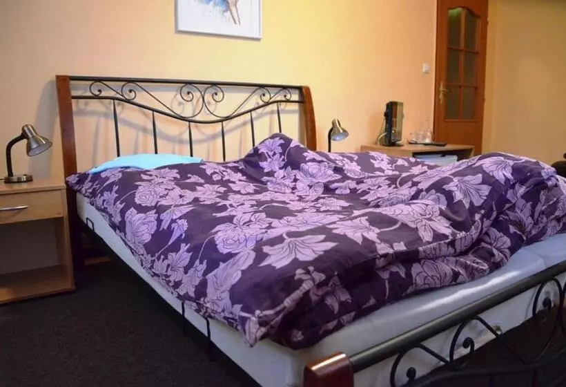 ペンション Penzion Střela Krucemburk