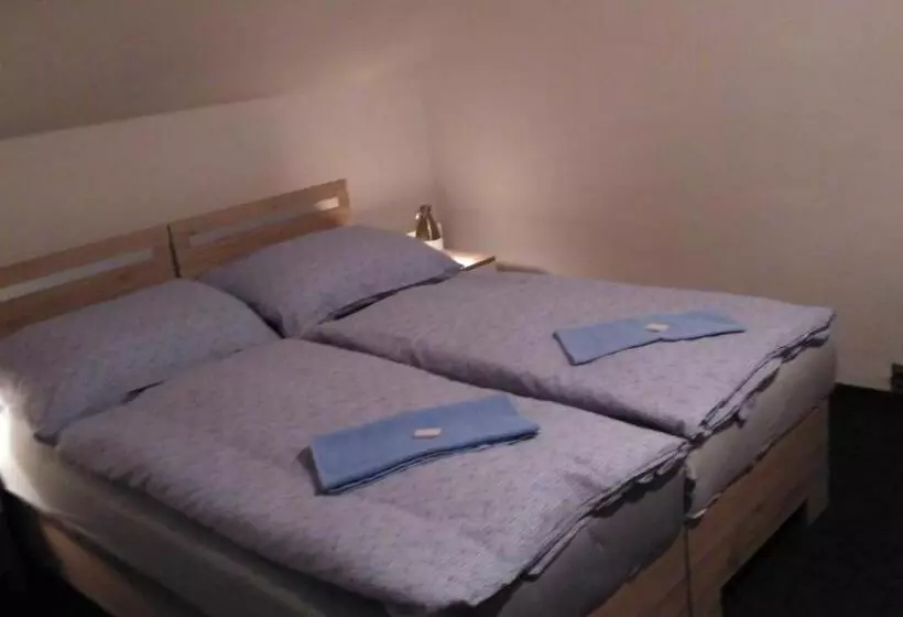 ペンション Penzion Střela Krucemburk