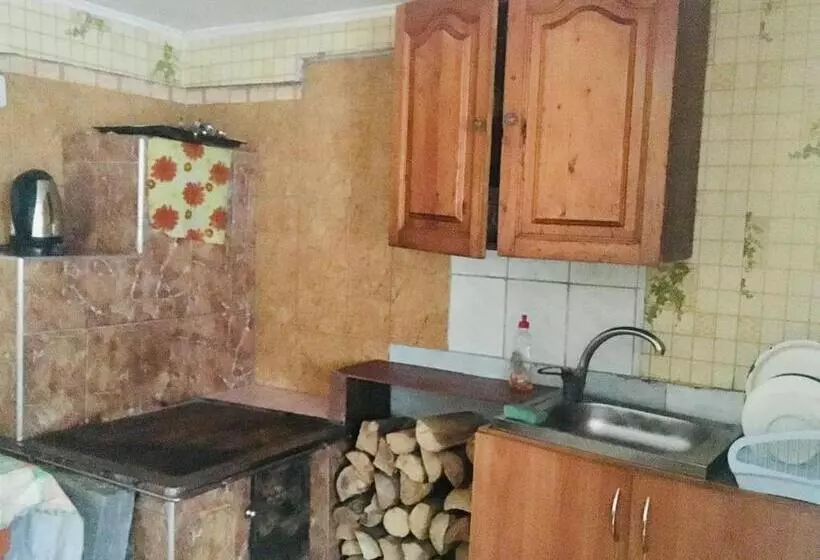 پانسیون U Daryny