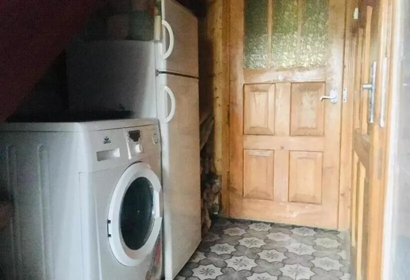 پانسیون U Daryny