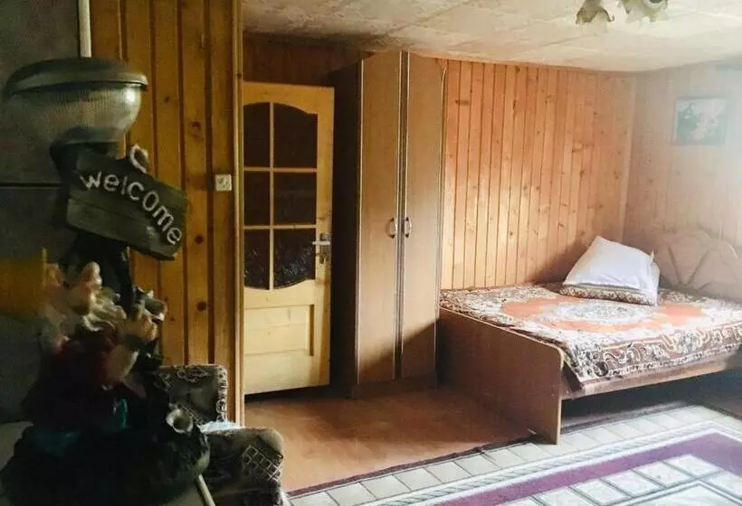 پانسیون U Daryny