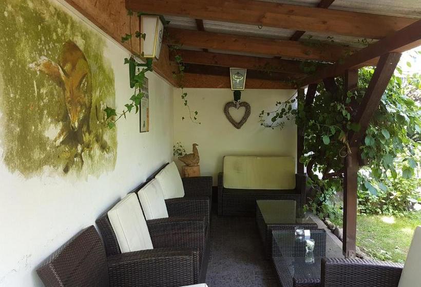 Общежитие Forellenhof Waldhölzbach