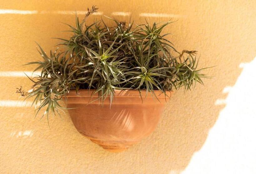 تختخواب و صبحانه Brezza Marina