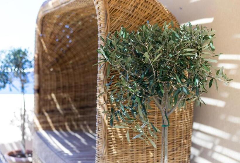 تختخواب و صبحانه Brezza Marina