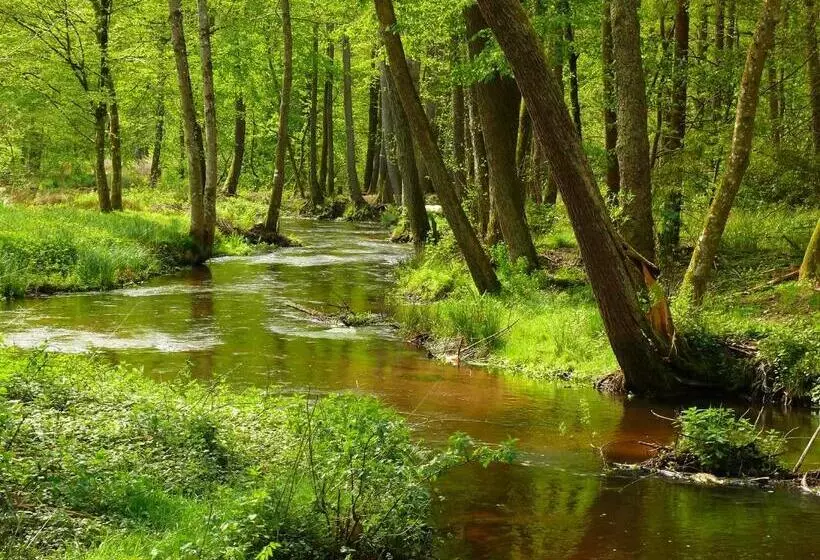 Hotelli Blick Zum Maimont