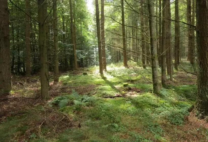 Hotelli Blick Zum Maimont