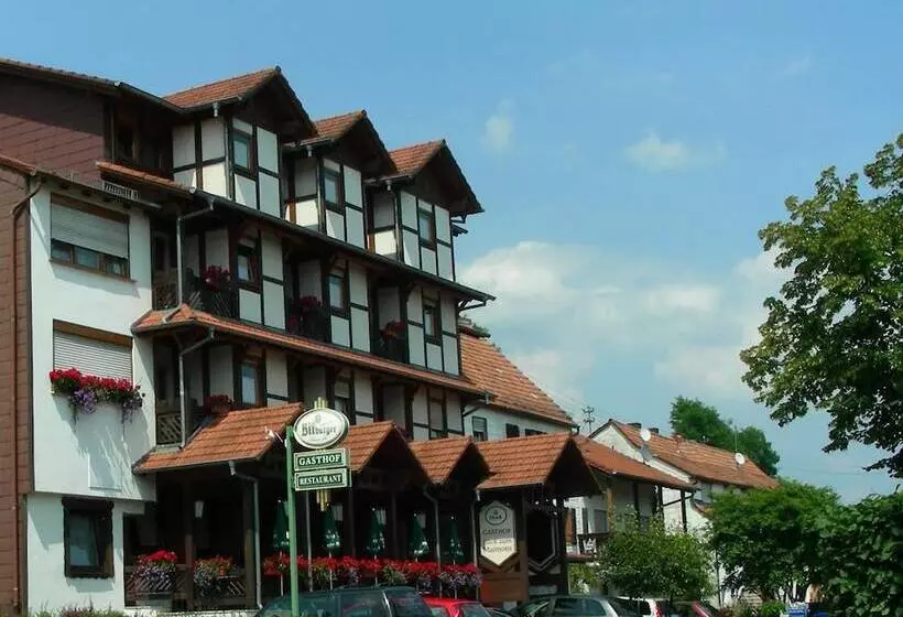 Hotelli Blick Zum Maimont