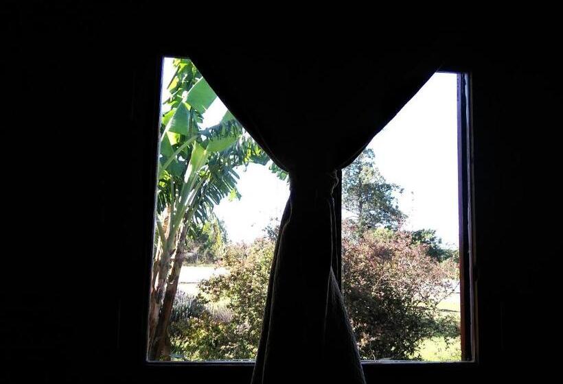 Hotel Posada La Cabaña