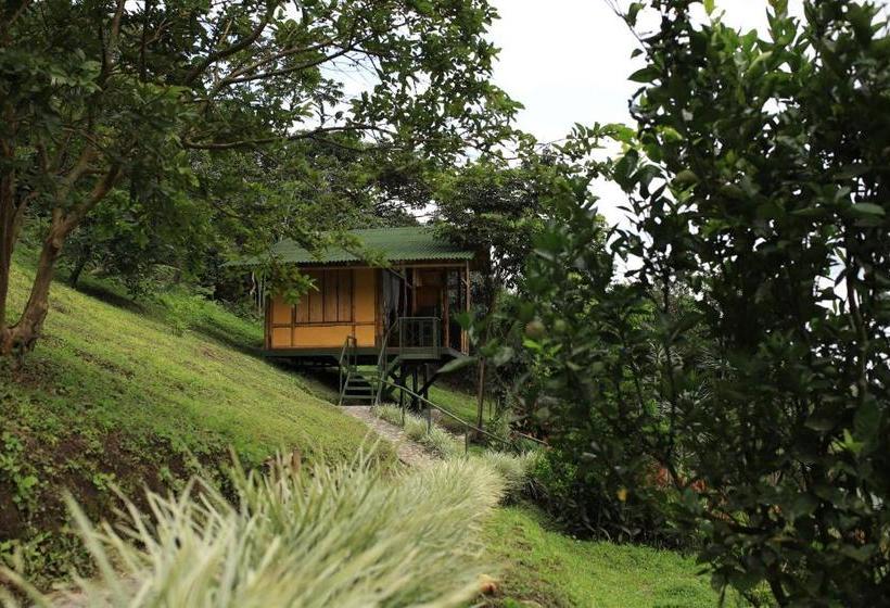 Otel Soñarte Reserva Natural