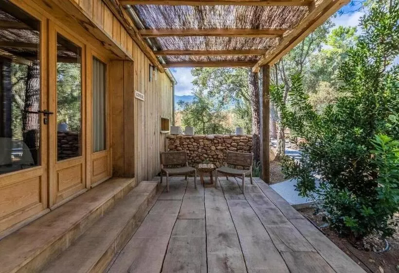 ペンション Domaine De Casanghjulina