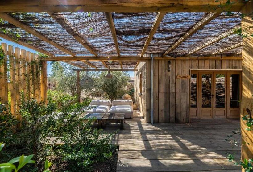 بنسيون Domaine De Casanghjulina