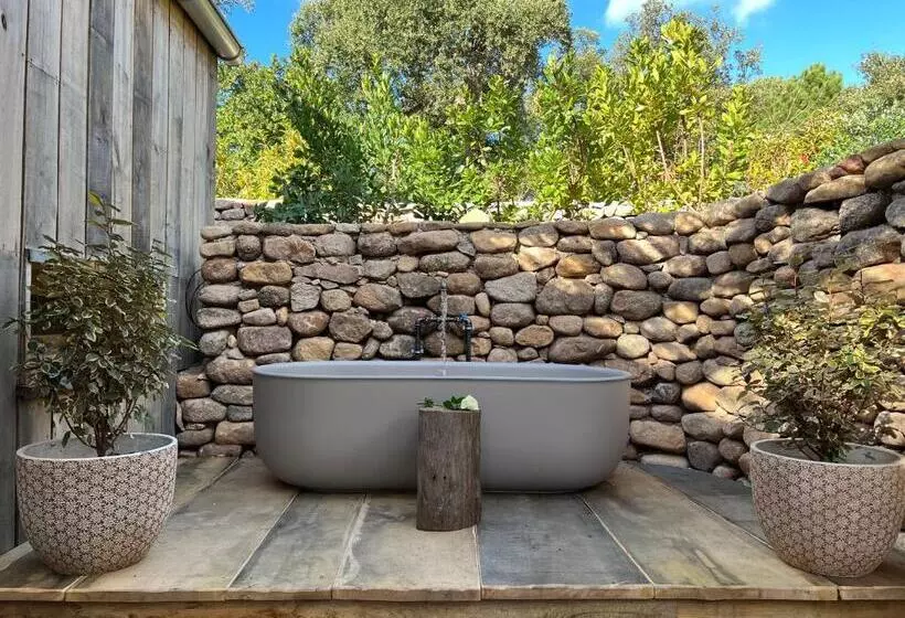 ペンション Domaine De Casanghjulina