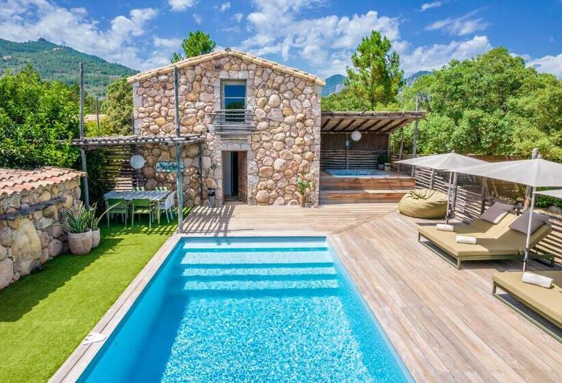 بنسيون Domaine De Casanghjulina