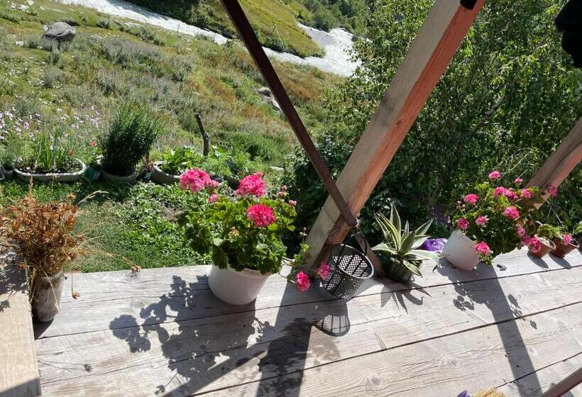 پانسیون Guesthouse Nashgobi