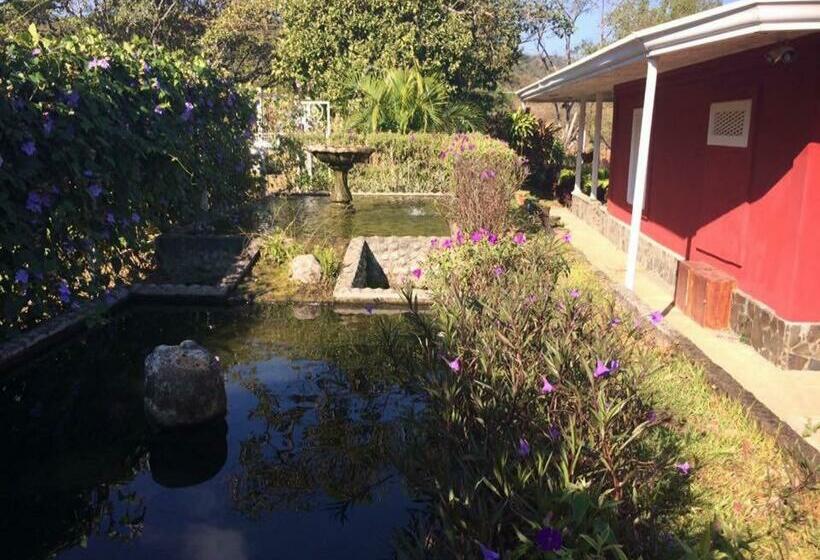 ホテル Hacienda El Rodeo