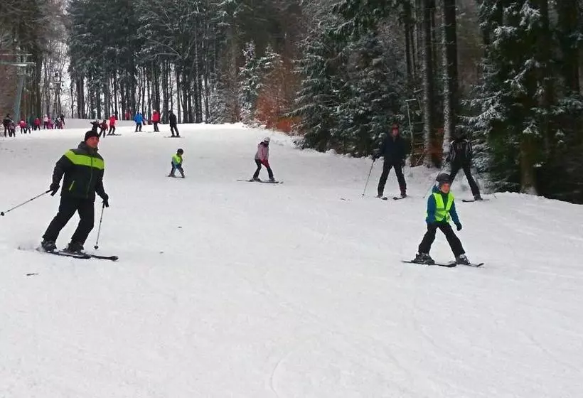 ホテル Křemešník