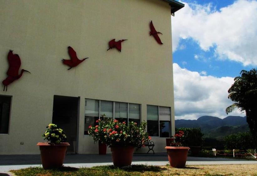 ホテル Montserrat Plaza