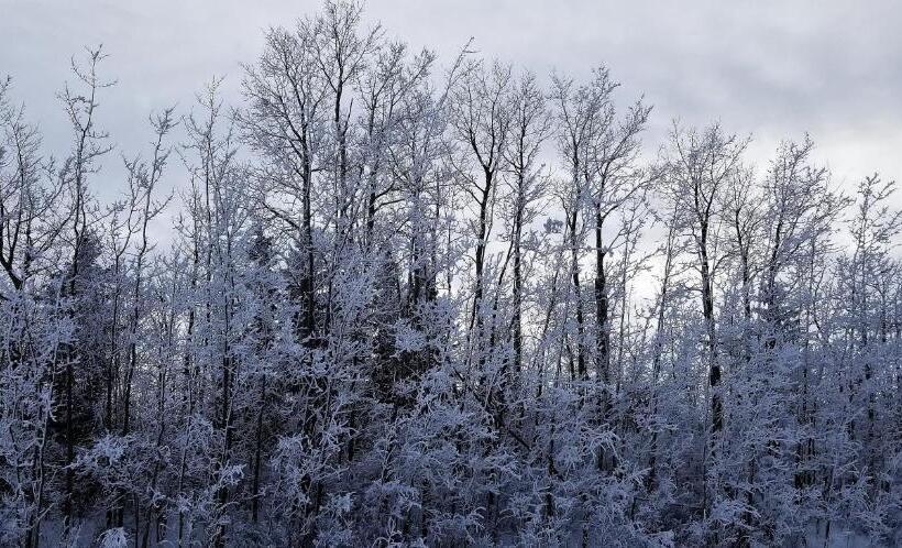 فندق على الطريق Alberta Beach Inn And Suites