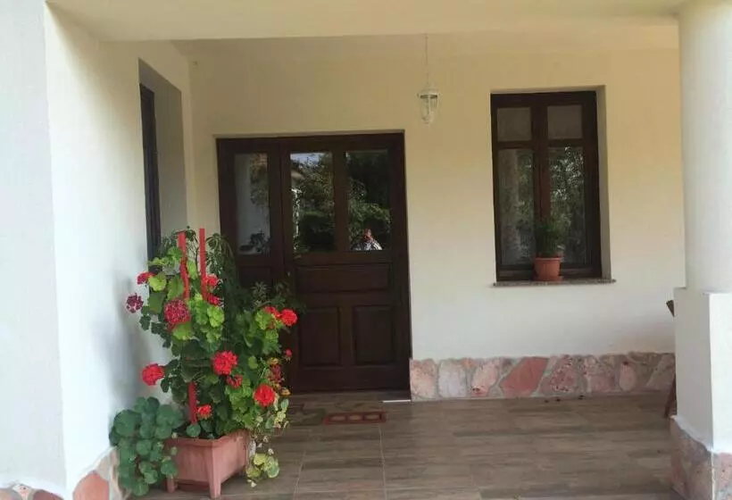 Majatalo Bajusz Vendégház