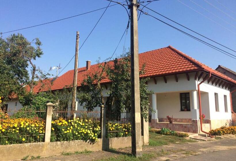 펜션 Bajusz Vendégház