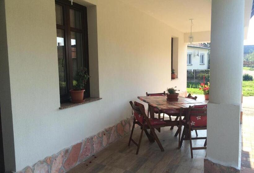 펜션 Bajusz Vendégház