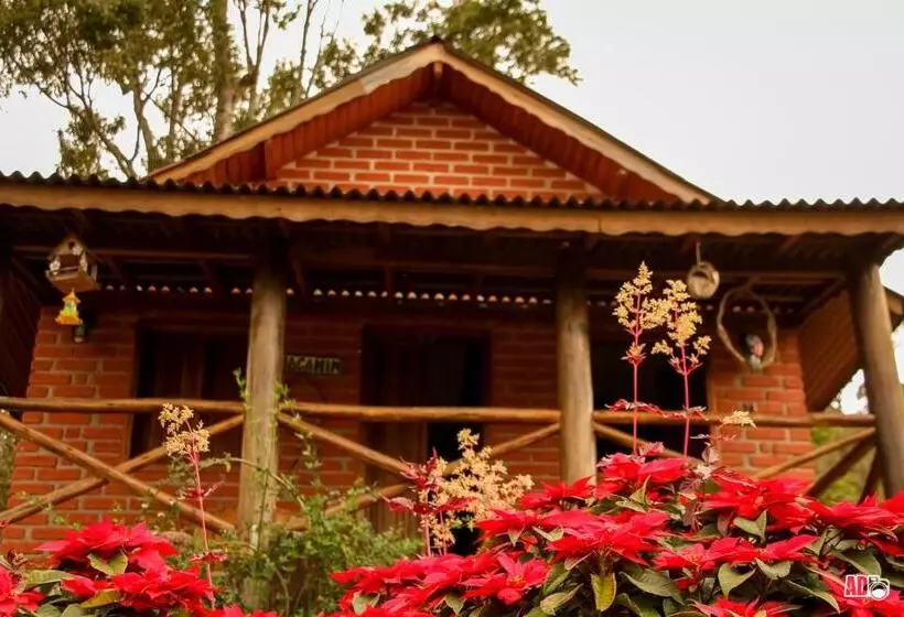 Majatalo Chalés Kayoá