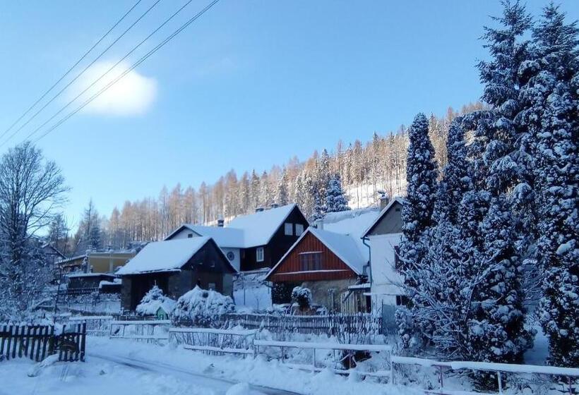 פנסיון Penzion Edelštejn