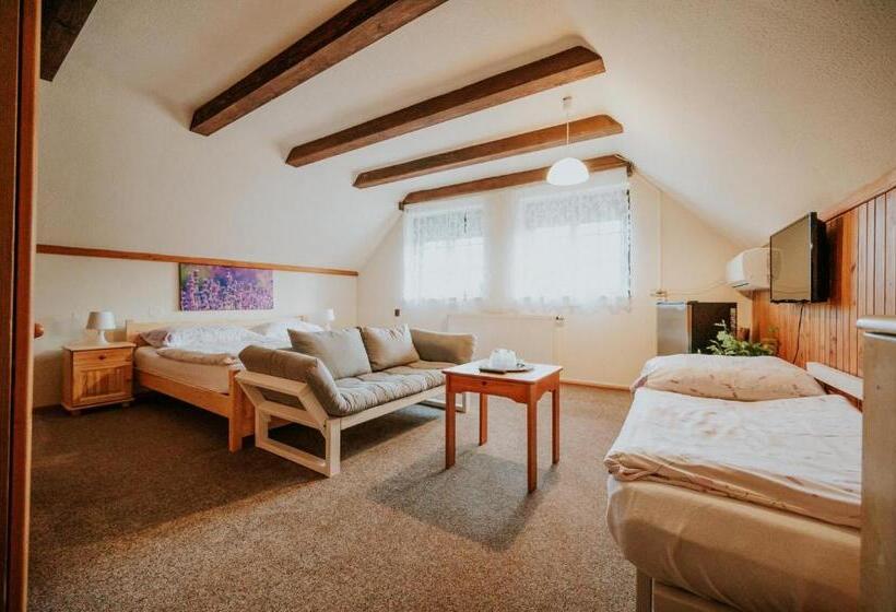 بنسيون Penzion Roseta