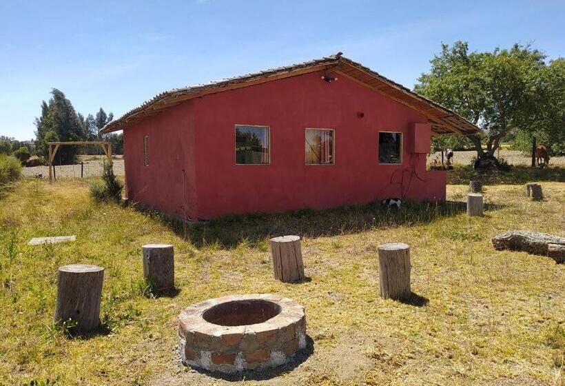 بنسيون Quinta Los Duendes