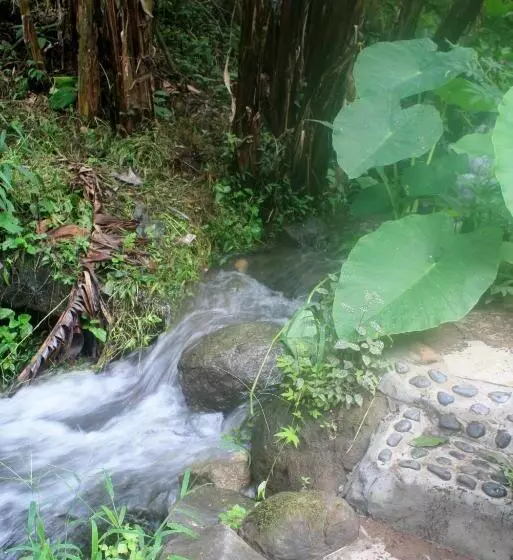 ペンション The Casita At The Boquete Hacienda