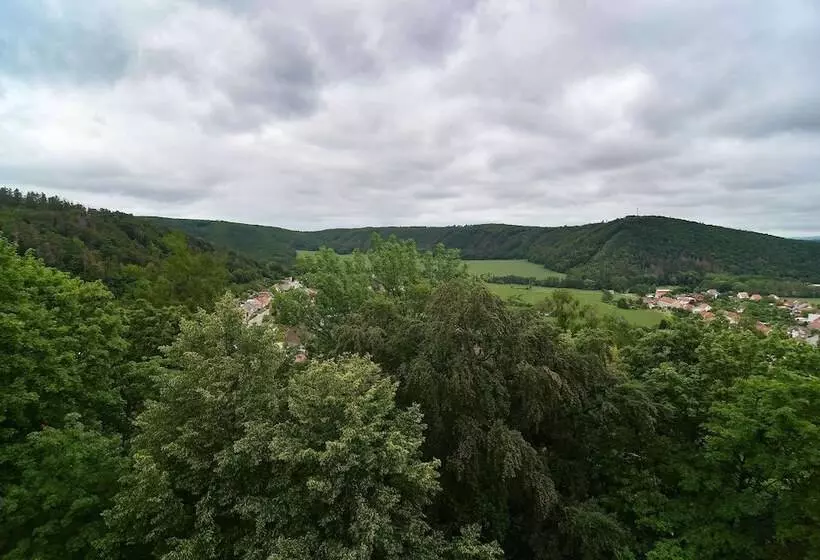 پانسیون Zámek Račice