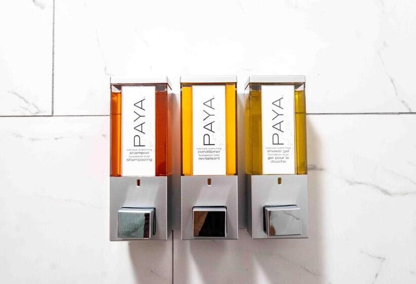 Hostel The Inn At Canaan