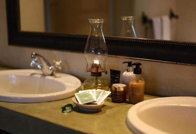 בית מלון כפרי Ivory Wilderness River Rock Lodge