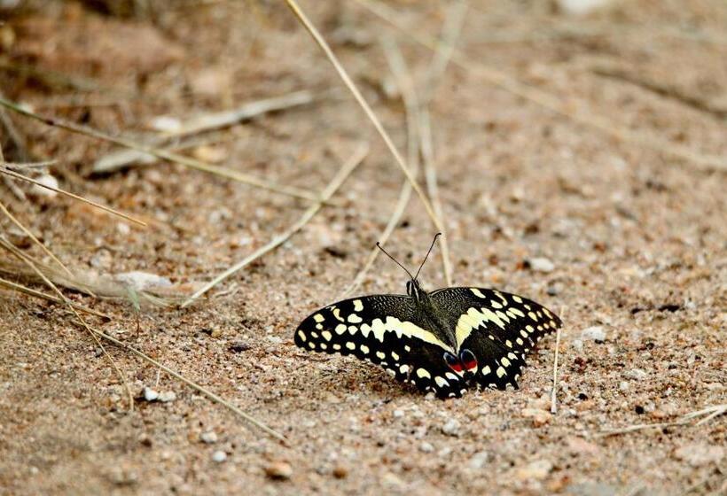 בית מלון כפרי Ivory Wilderness River Rock Lodge