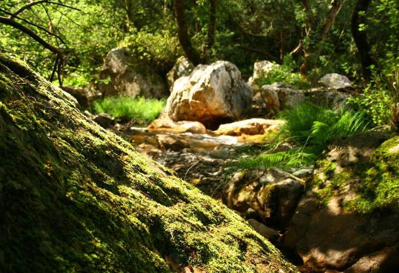 Отель Rural Solar Das Freiras