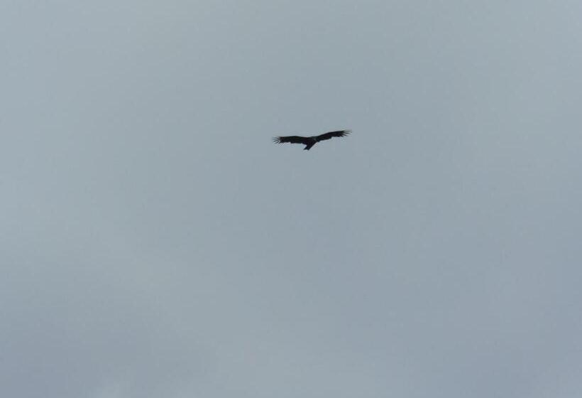 Pension Casa Campo Alojamiento Campestre Para Descanso En Calarcá Quindío